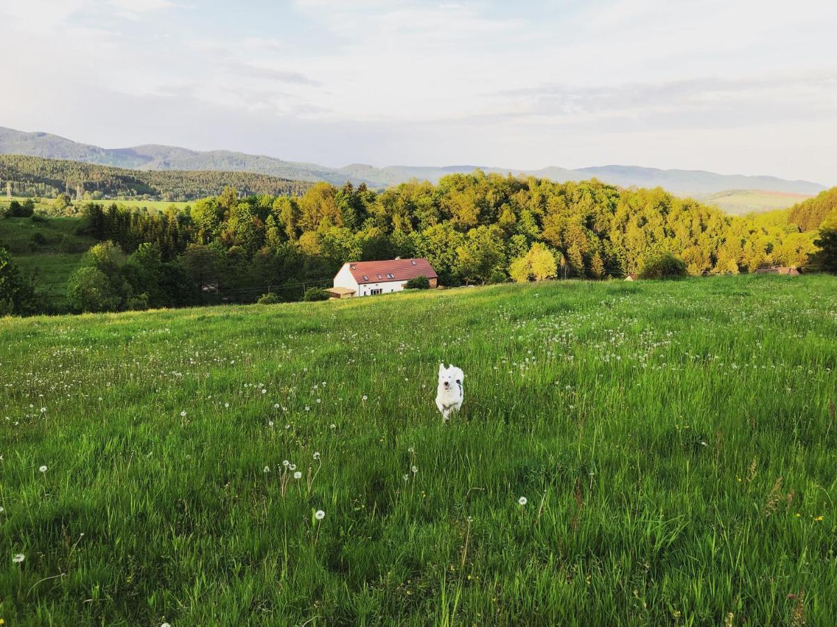 Zapomnienie Villa Nowa Ruda Bagian luar foto
