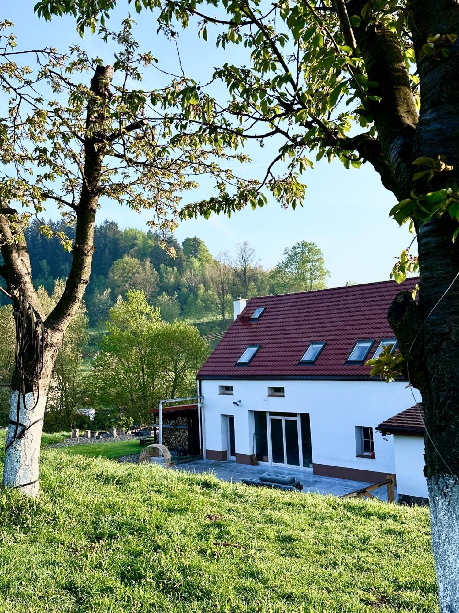 Zapomnienie Villa Nowa Ruda Bagian luar foto