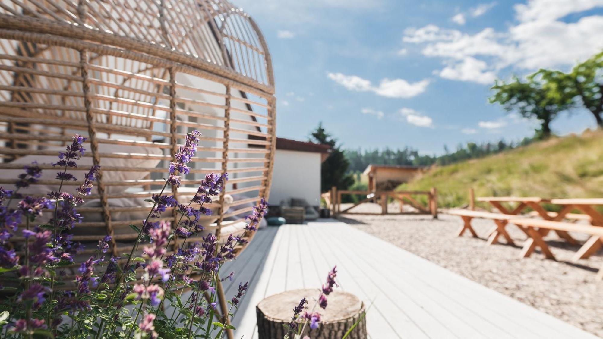 Zapomnienie Villa Nowa Ruda Bagian luar foto